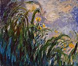 Iris Canvas Paintings - Les iris jaunes 1824